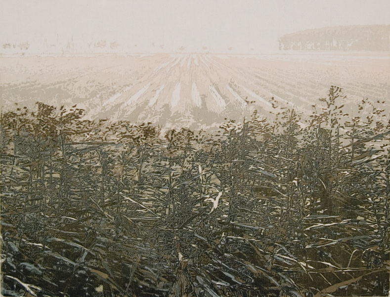 27 Lenteakker 48x36cm.jpg